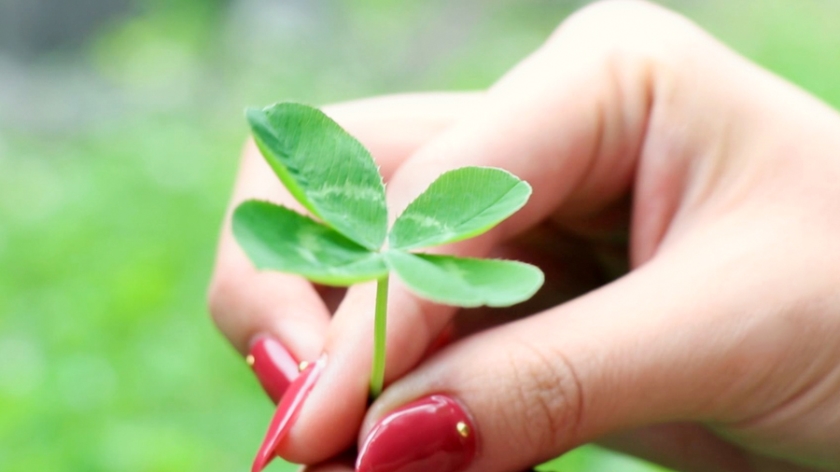 【千葉県】25歳の清楚系専業主婦が豹変…密室出張ハメ撮り一部始終を公開