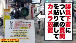 【新宿発】最強くびれギャル・ナナ(24歳)の自宅潜入！歯科衛生士の勝負下着と、我慢できず中出しを強請る悶絶3回戦。